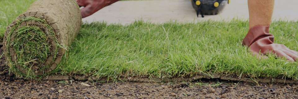 Turfing Services North West London